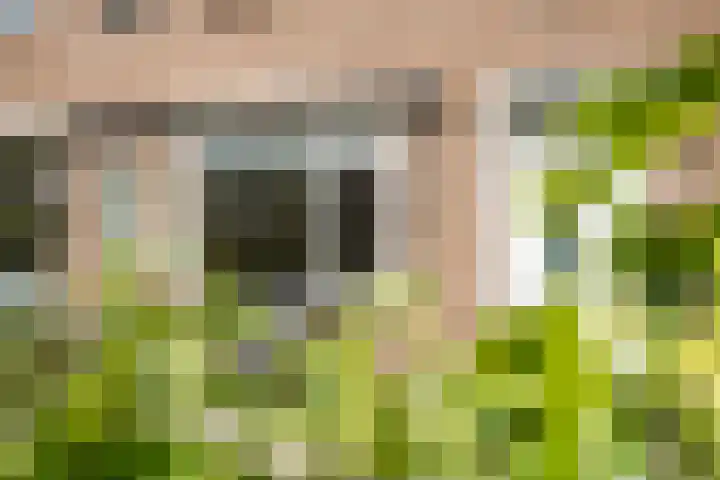 Veluwestraat 38 Arnhem thumbnail 7