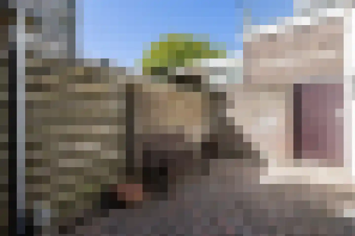 Veluwestraat 4 Arnhem thumbnail 4