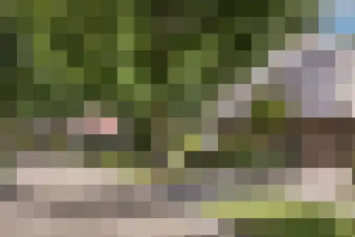 Veluwestraat 68 Hengelo thumbnail 4