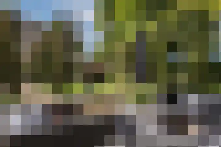 Veluwestraat 68 Hengelo thumbnail 55