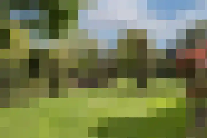 Veluwestraat 68 Hengelo thumbnail 59