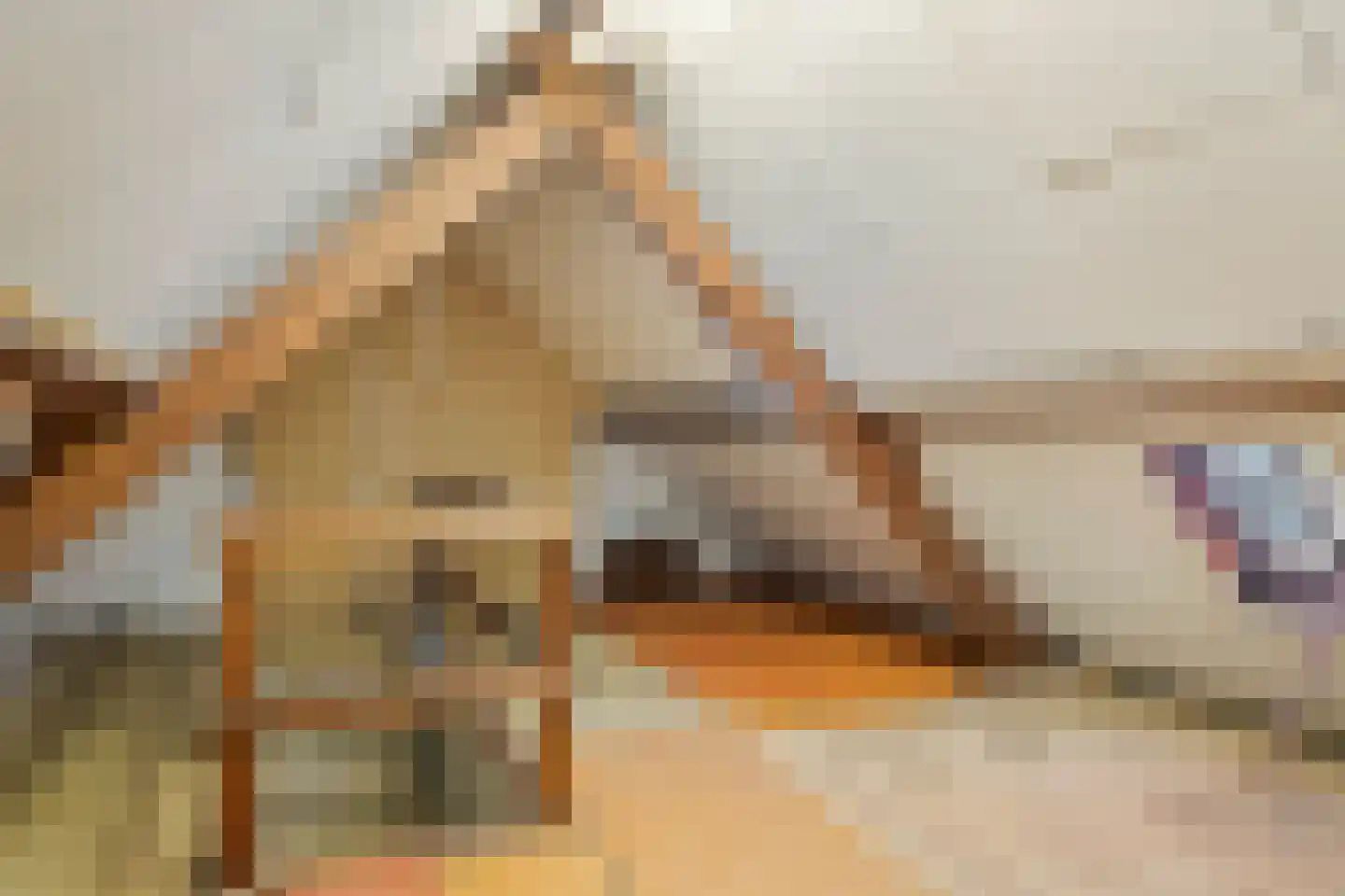 Veluwestraat 71 Arnhem thumbnail 29