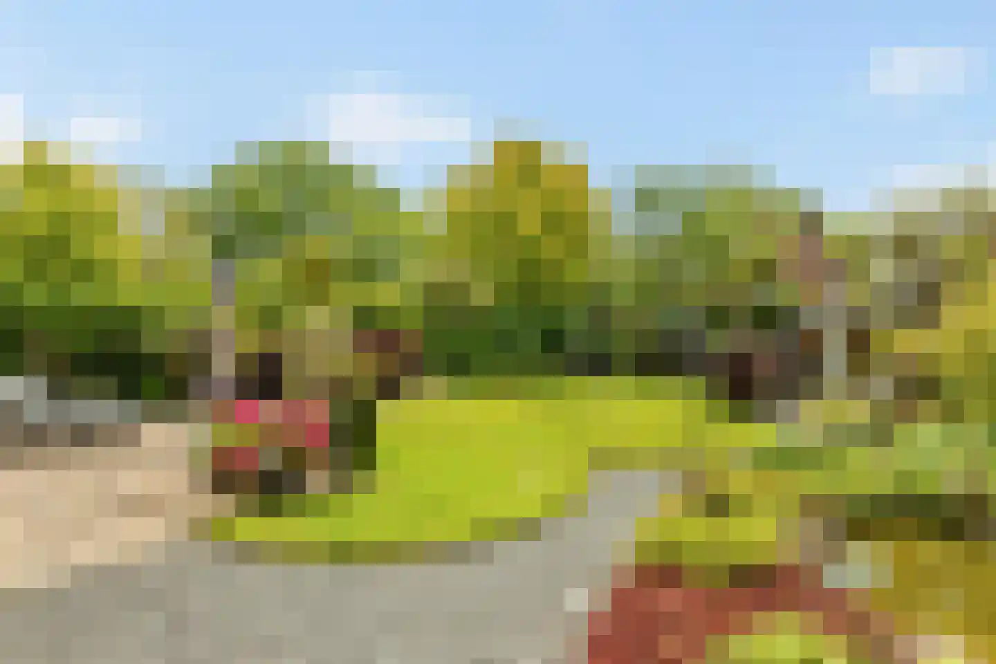 Veluwestraat 79 Hengelo thumbnail 26