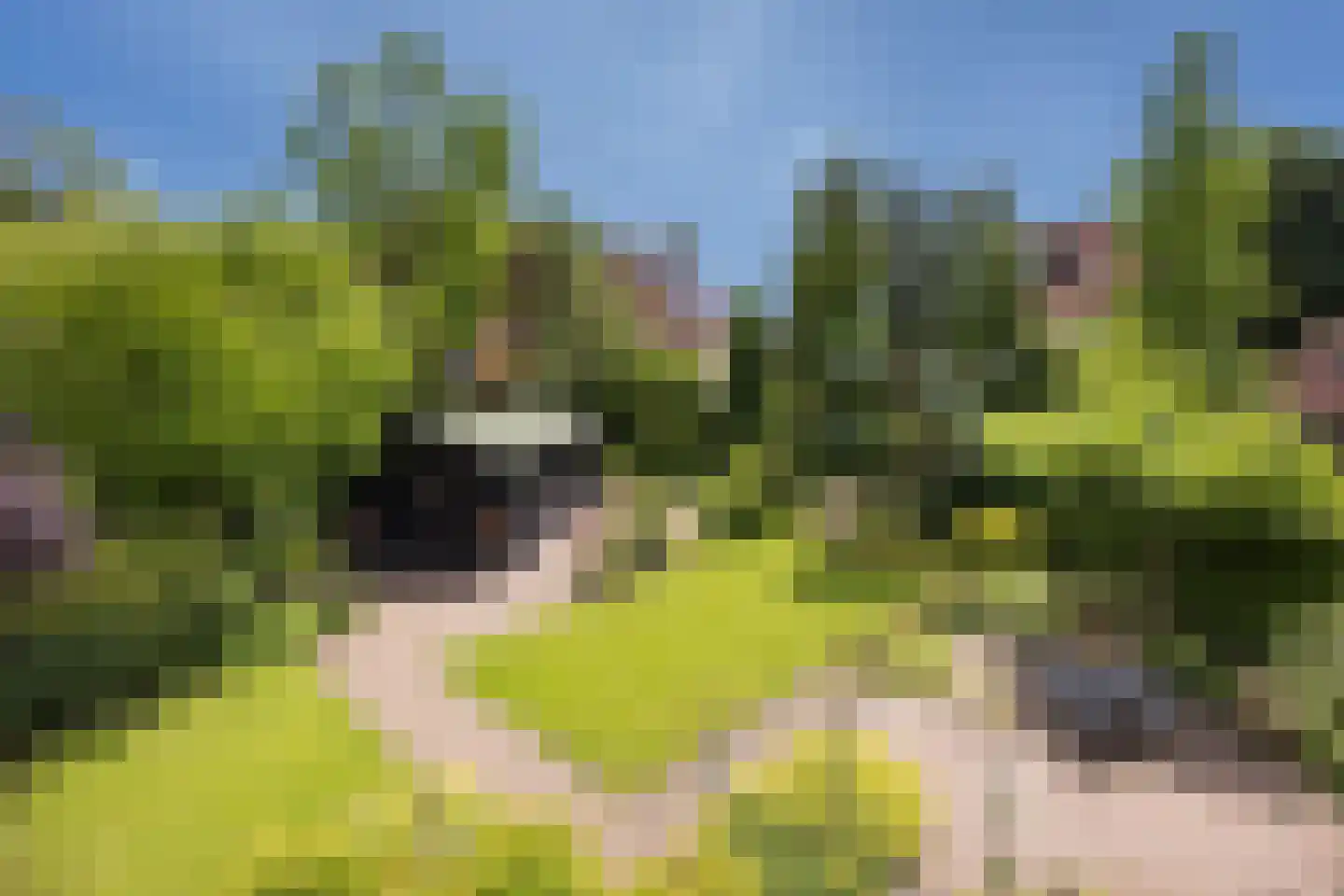 Veluwestraat 85 Hengelo thumbnail 37