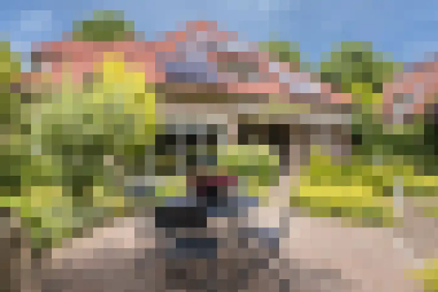 Veluwestraat 85 Hengelo thumbnail 42