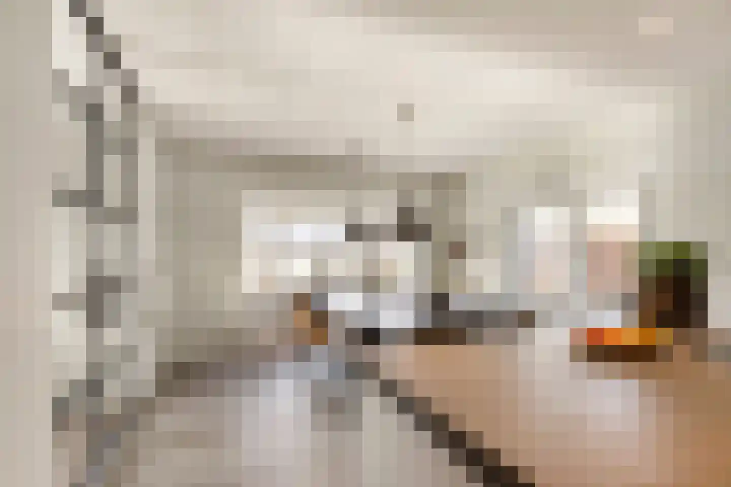 Veluweweg 188 Kootwijkerbroek thumbnail 17