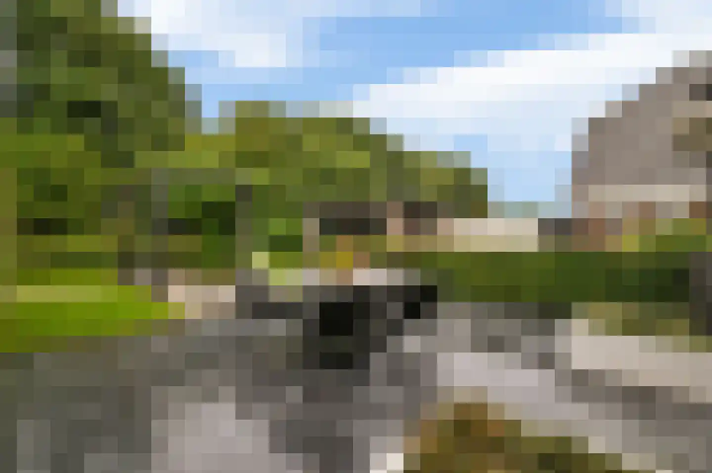 Veluweweg 188 Kootwijkerbroek thumbnail 50
