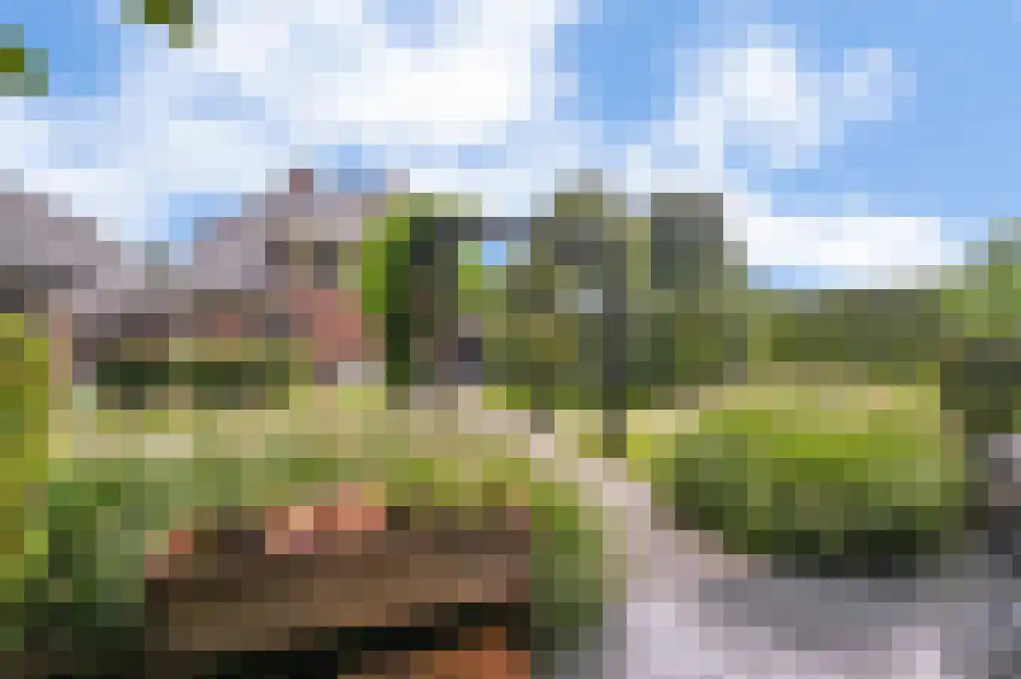Veluweweg 188 Kootwijkerbroek thumbnail 53