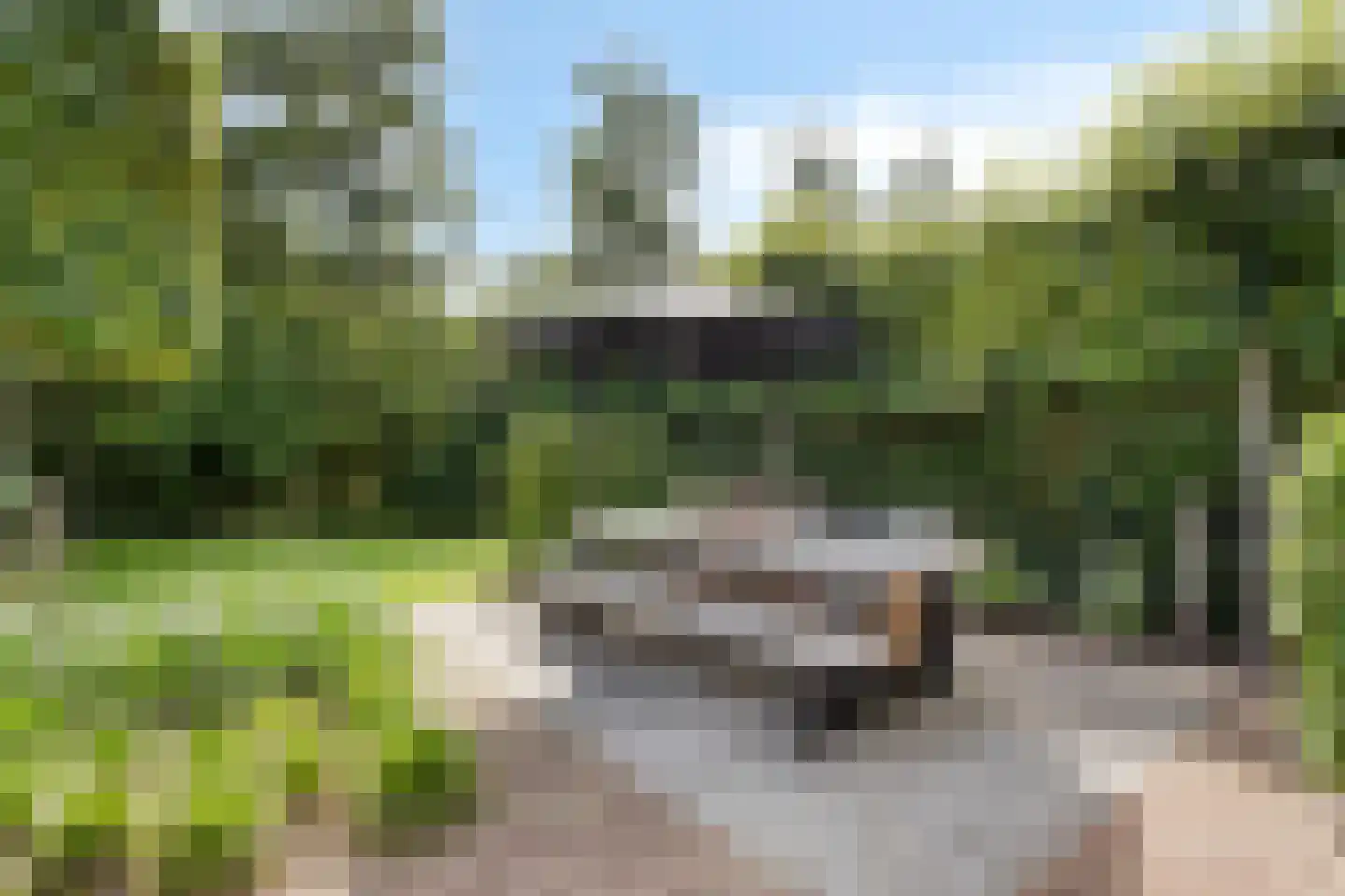 Veluweweg 32 B Waarland thumbnail 50