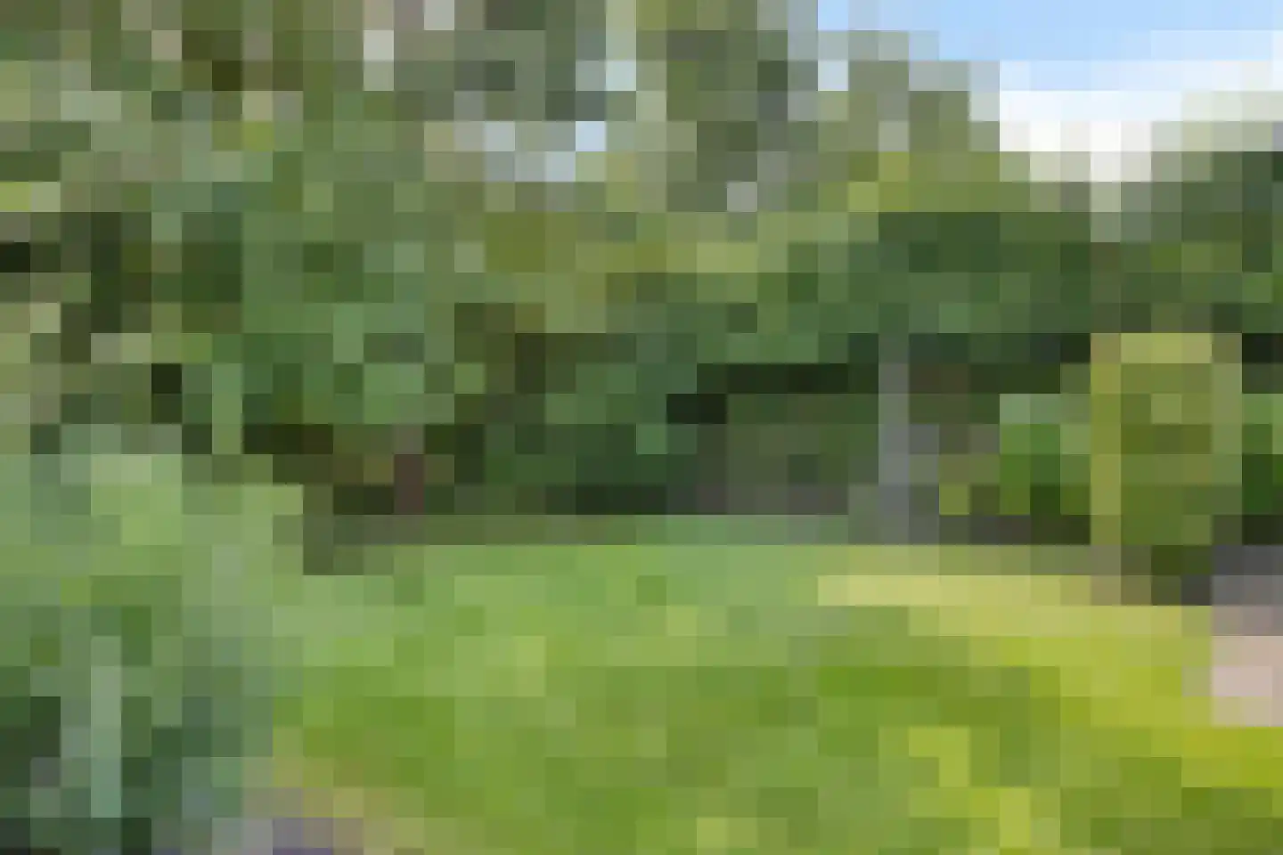 Veluweweg 32 B Waarland thumbnail 52