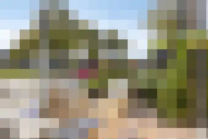 Veluweweg 43 C Waarland thumbnail 8