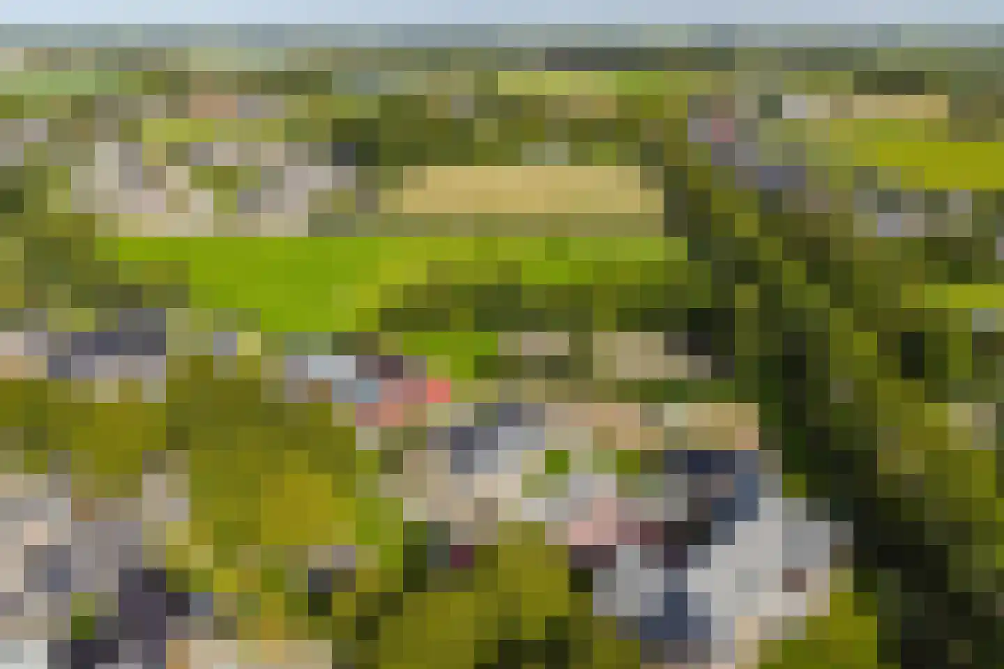 Veluweweg 43 F Waarland thumbnail 18