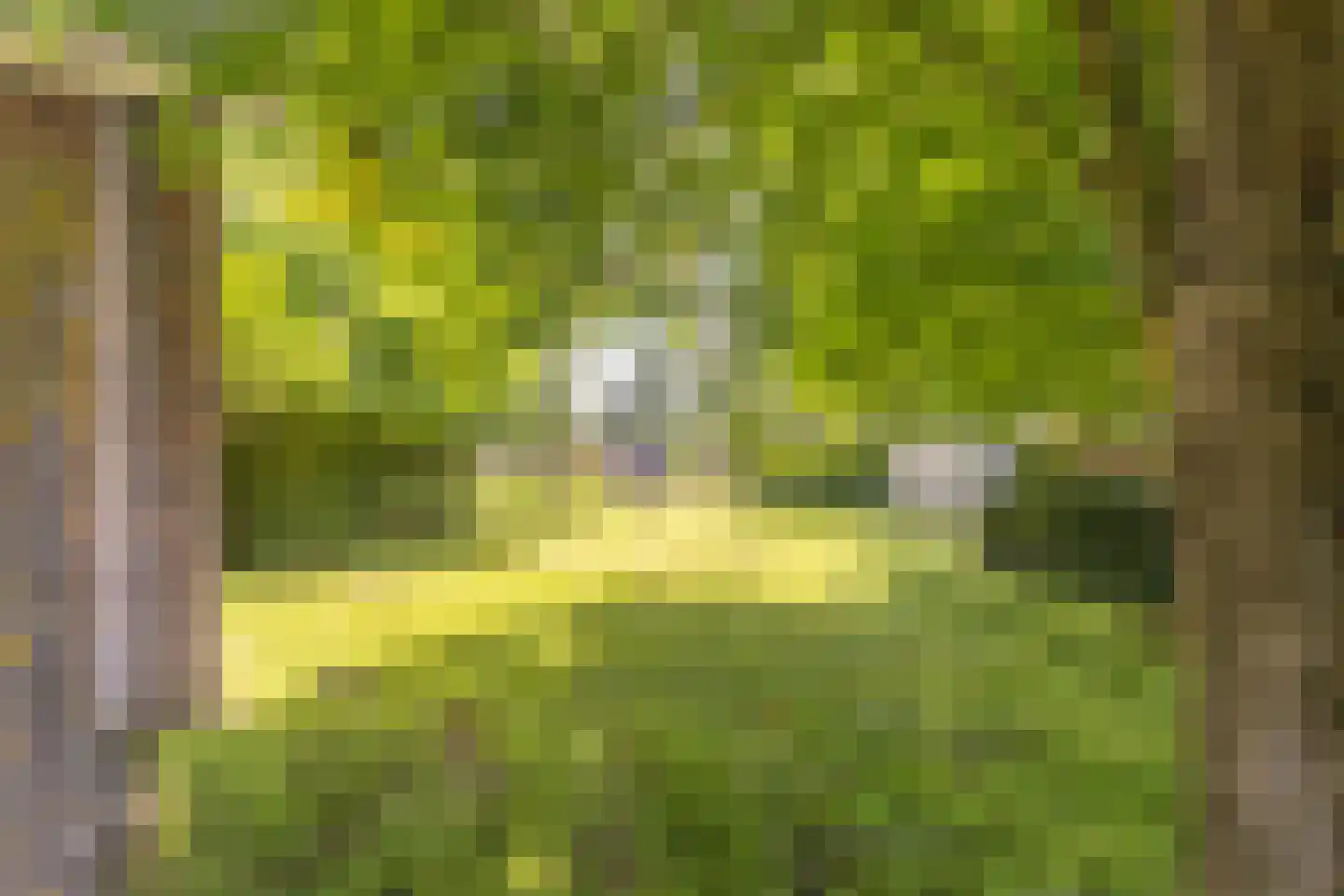 Veluweweg 55 Waarland thumbnail 31