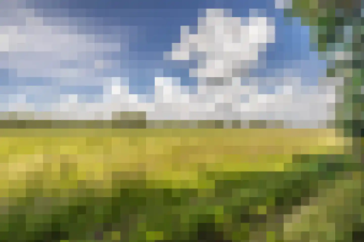 Veluweweg 55 Waarland thumbnail 32