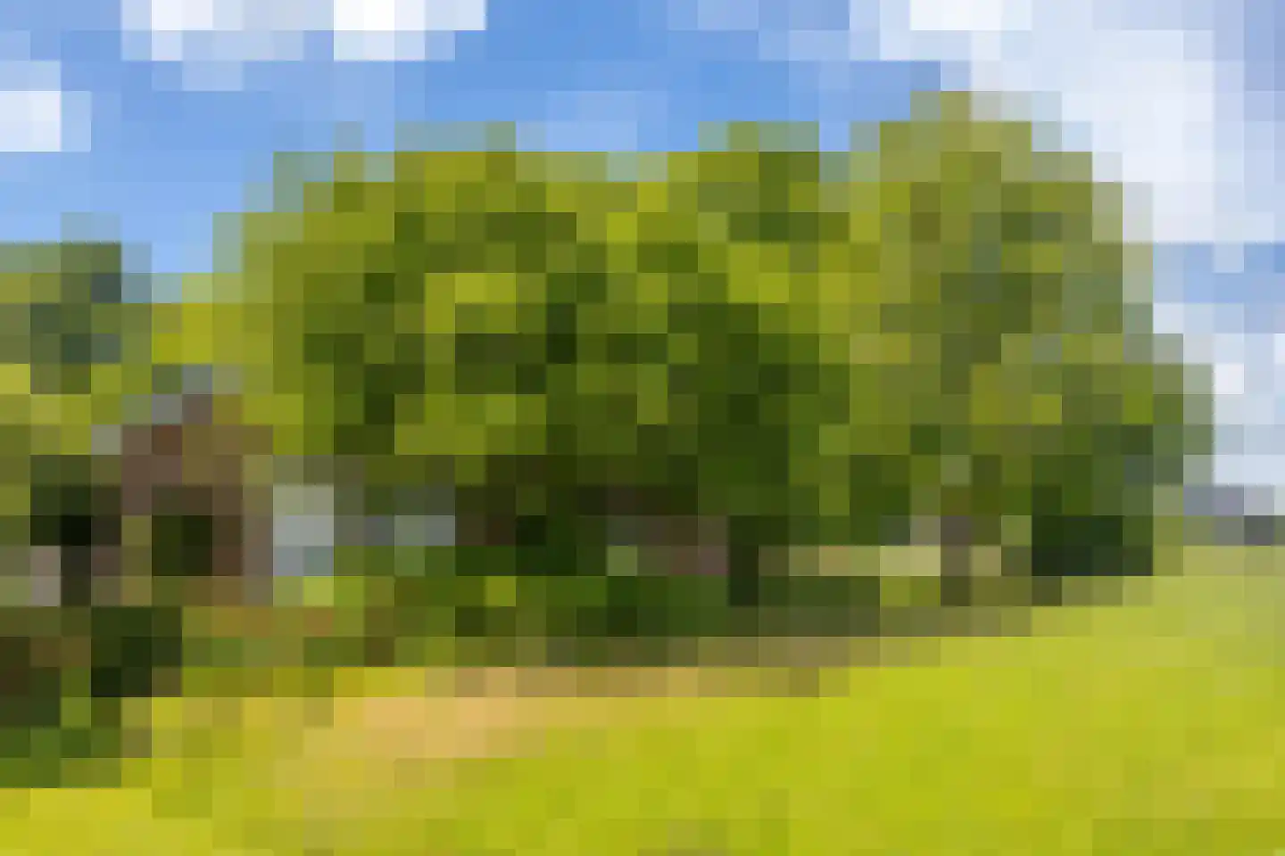 Veluweweg 55 Waarland thumbnail 33