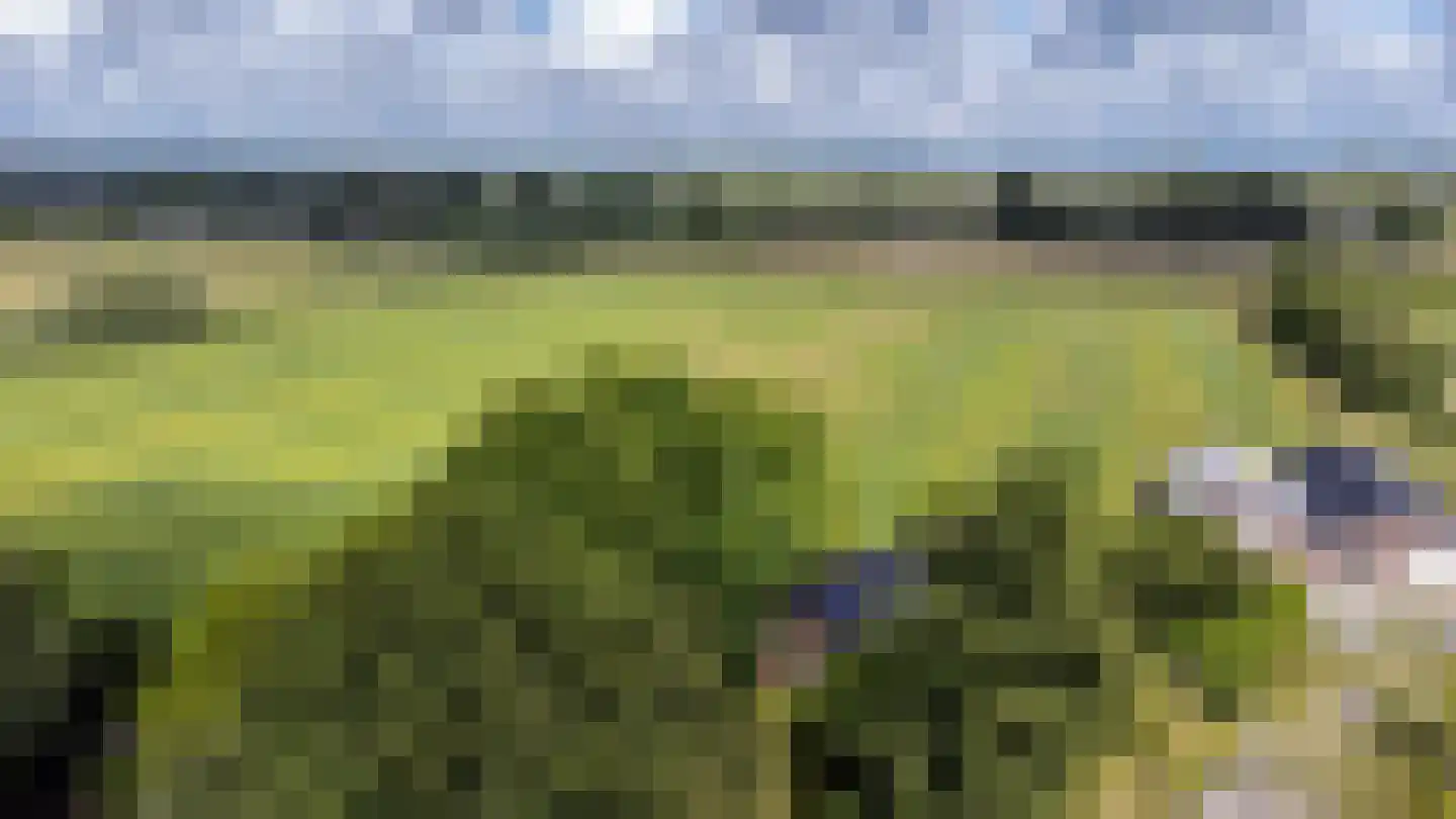 Veluweweg 55 Waarland thumbnail 5