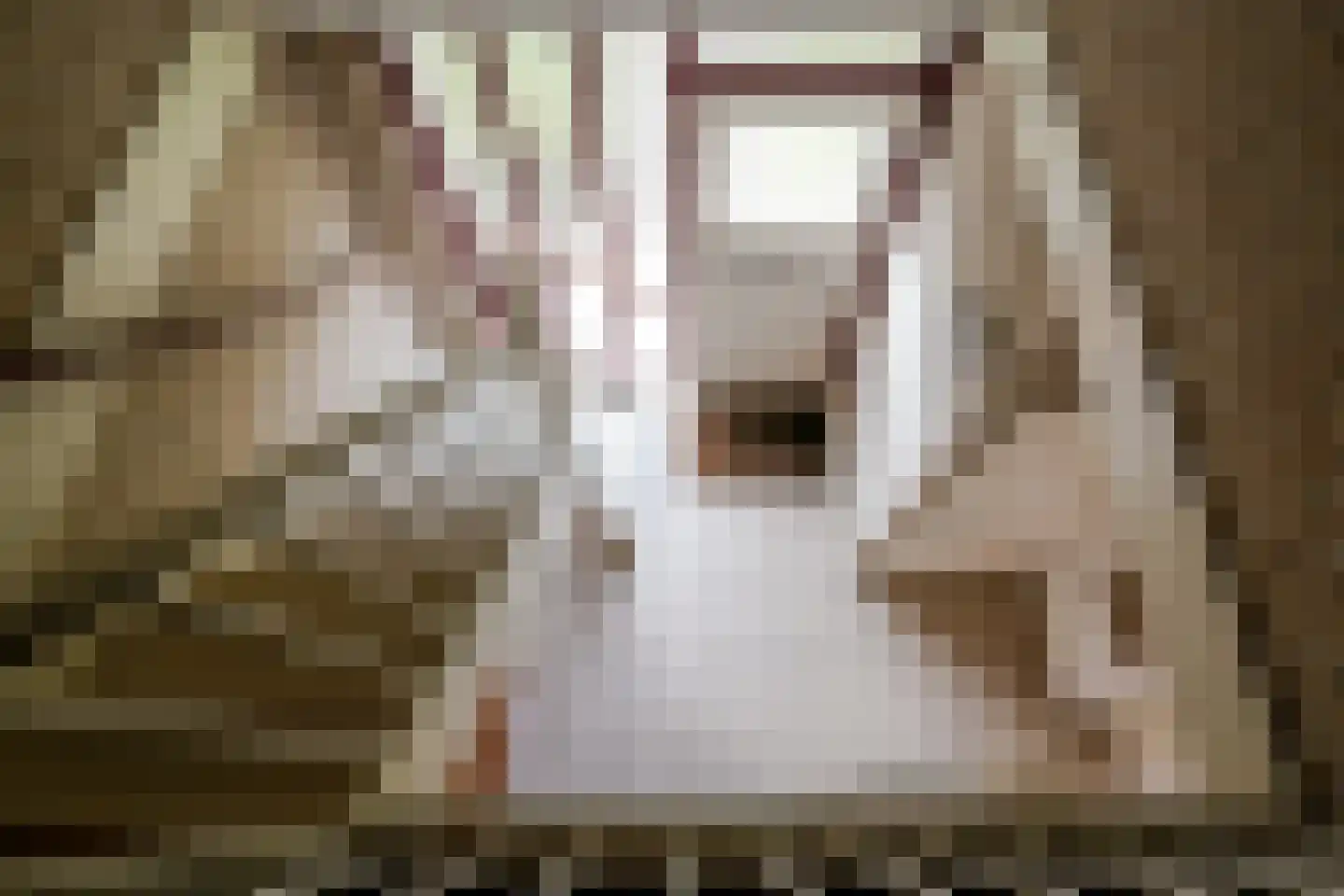 Veluws Hof 26 Ermelo thumbnail 29