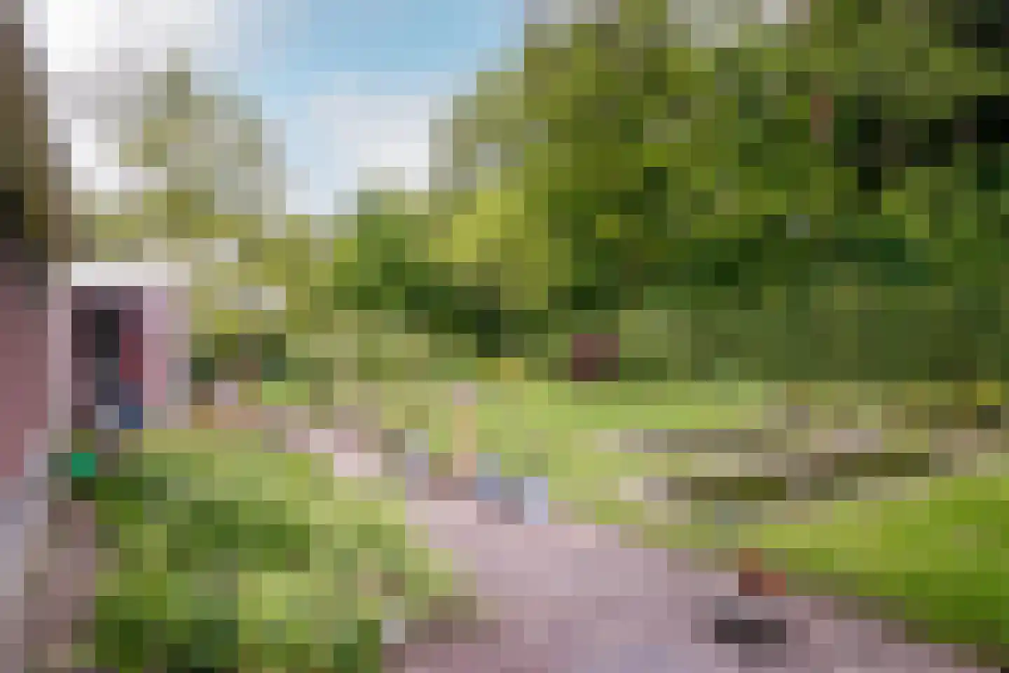 Veluws Hof 26 Ermelo thumbnail 40