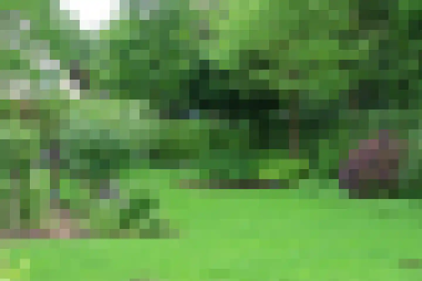 Veluws Hof 26 Ermelo thumbnail 42