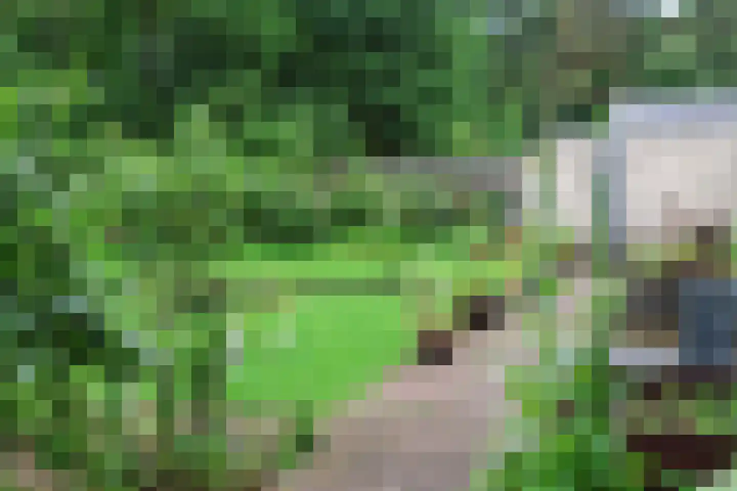 Veluws Hof 26 Ermelo thumbnail 43