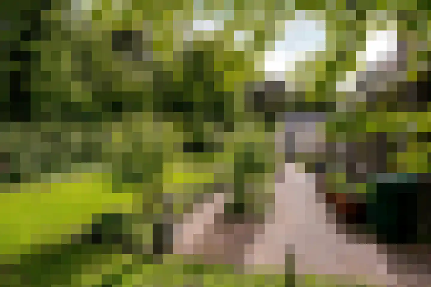 Veluws Hof 26 Ermelo thumbnail 47