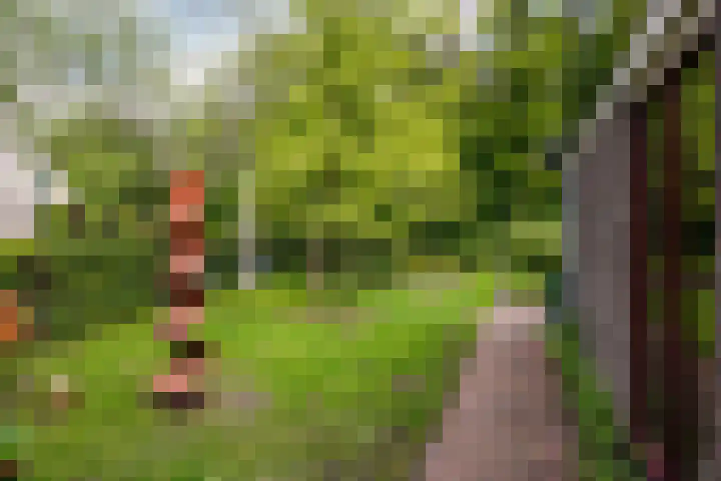 Veluws Hof 26 Ermelo thumbnail 48