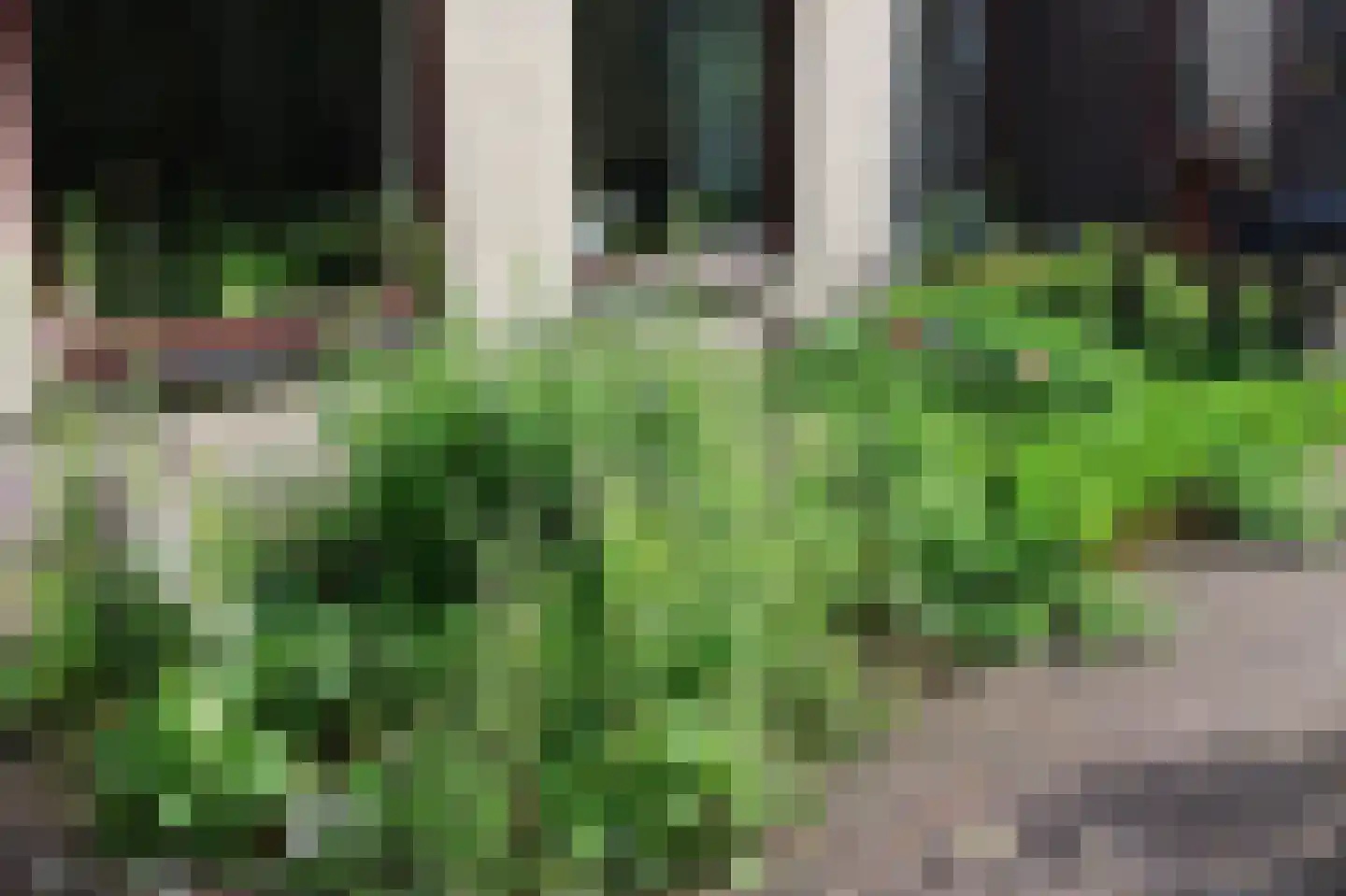 Veluws Hof 26 Ermelo thumbnail 49