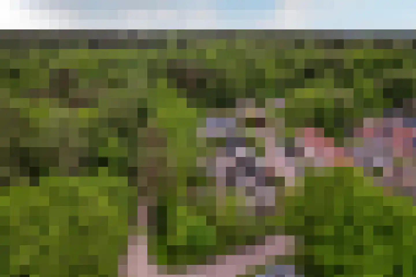 Veluws Hof 26 Ermelo thumbnail 61