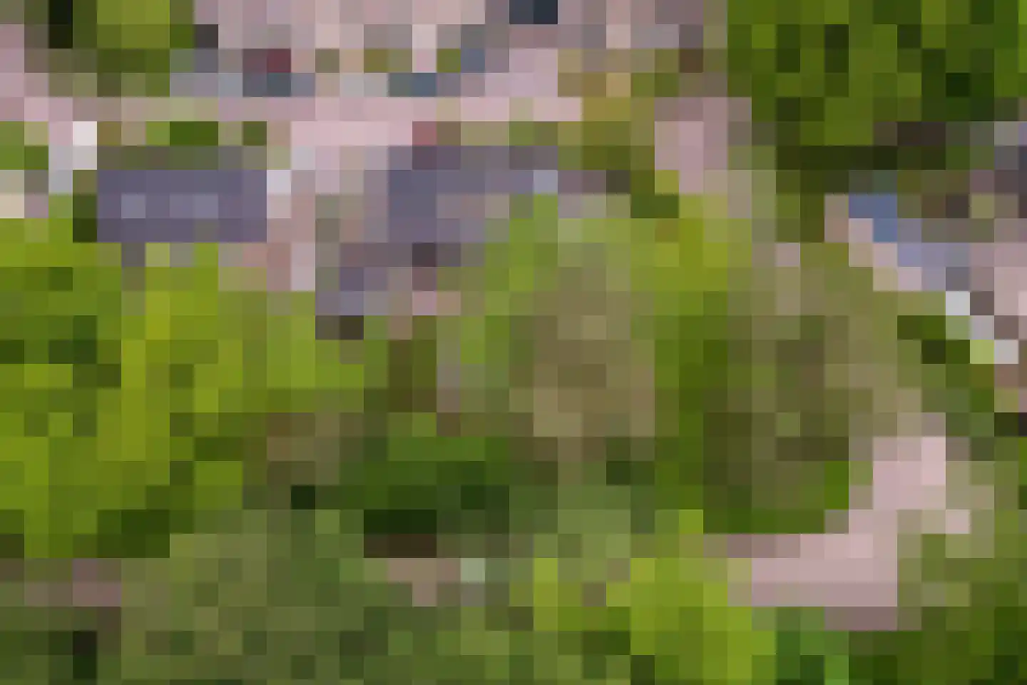 Veluws Hof 26 Ermelo thumbnail 64