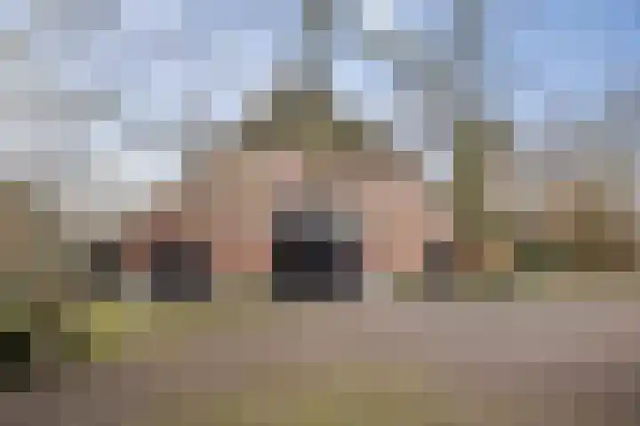 Veluwsedijk 1 Nijbroek thumbnail 32
