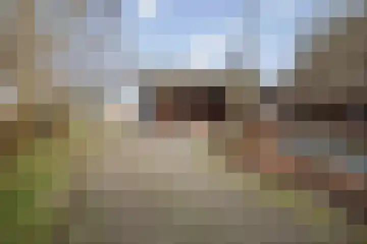 Veluwsedijk 1 Nijbroek thumbnail 33