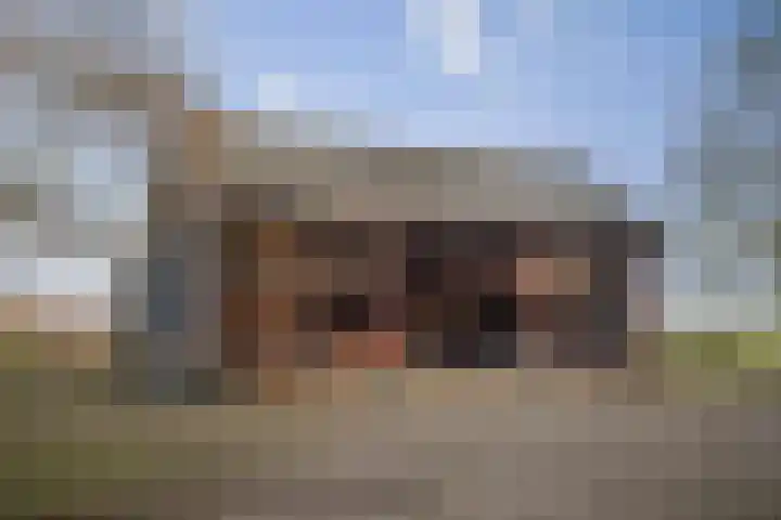 Veluwsedijk 1 Nijbroek thumbnail 34