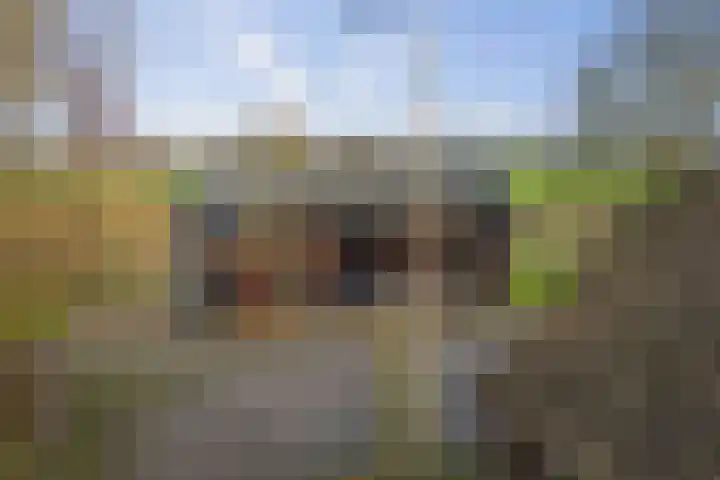 Veluwsedijk 1 Nijbroek thumbnail 35