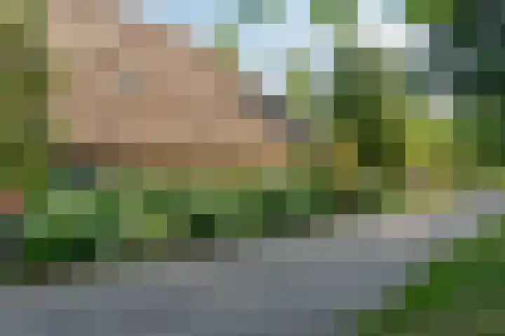Veluwsedijk 1 Nijbroek thumbnail 37