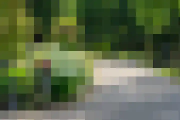 Veluwsedijk 1 Nijbroek thumbnail 38