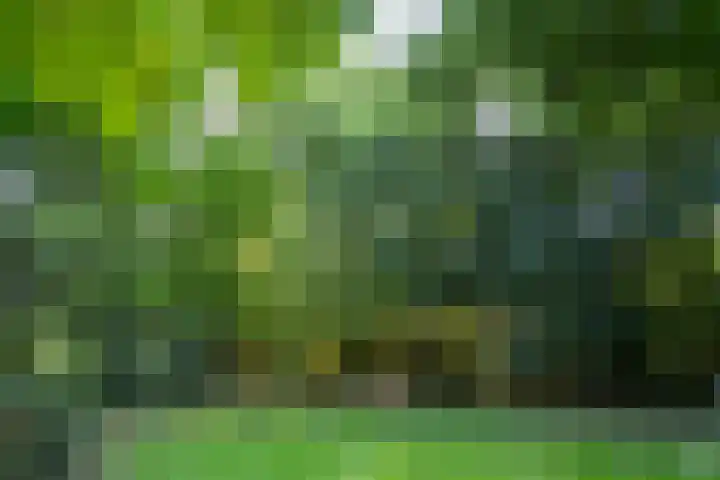 Veluwsedijk 1 Nijbroek thumbnail 39