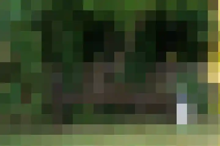 Veluwsedijk 1 Nijbroek thumbnail 40