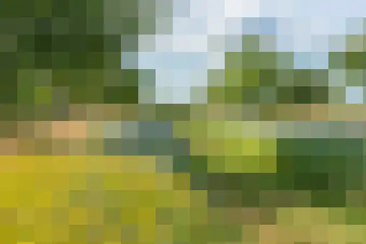 Veluwsedijk 1 Nijbroek thumbnail 41