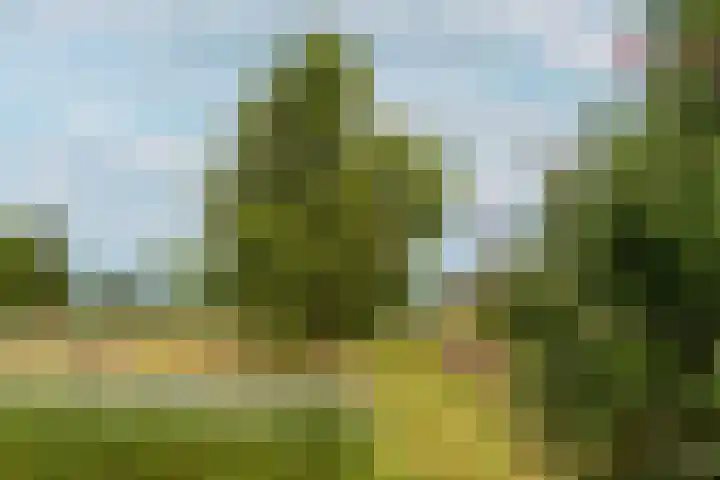 Veluwsedijk 1 Nijbroek thumbnail 42