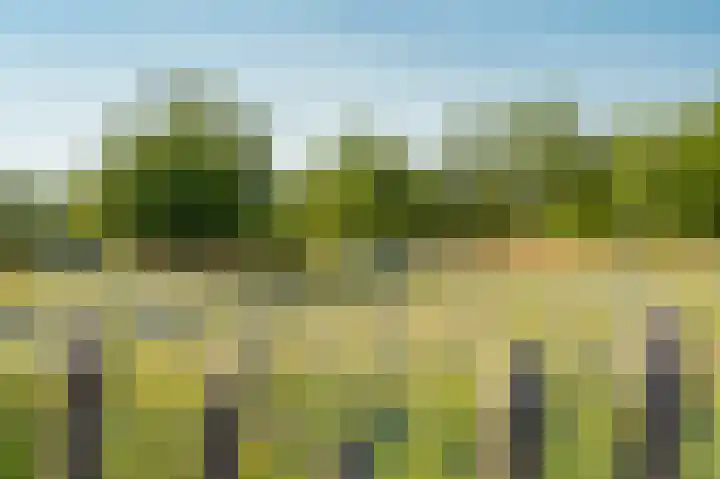 Veluwsedijk 1 Nijbroek thumbnail 43