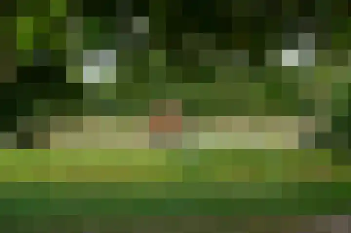 Veluwsedijk 1 Nijbroek thumbnail 44