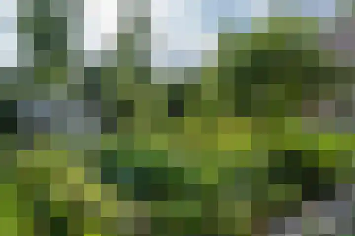 Veluwsedijk 1 Nijbroek thumbnail 45