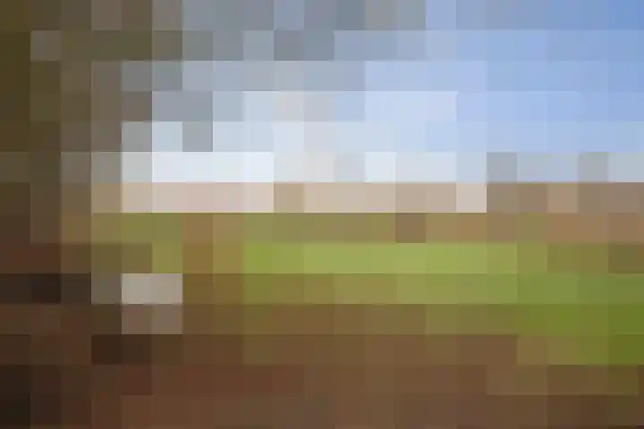 Veluwsedijk 1 Nijbroek thumbnail 47