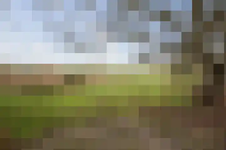 Veluwsedijk 1 Nijbroek thumbnail 48