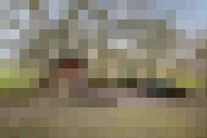 Veluwsedijk 1 Nijbroek thumbnail 49