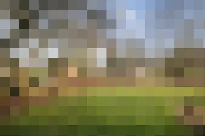 Veluwsedijk 1 Nijbroek thumbnail 50
