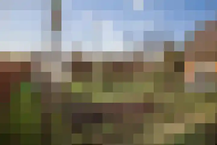 Veluwsedijk 1 Nijbroek thumbnail 51