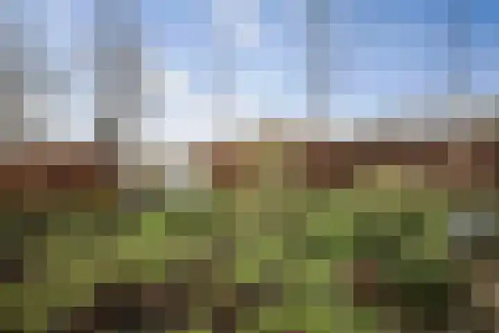 Veluwsedijk 1 Nijbroek thumbnail 52