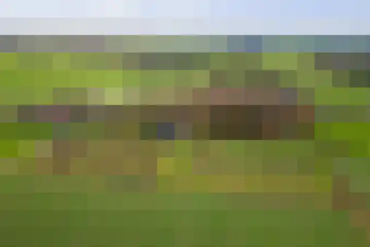 Veluwsedijk 1 Nijbroek thumbnail 57