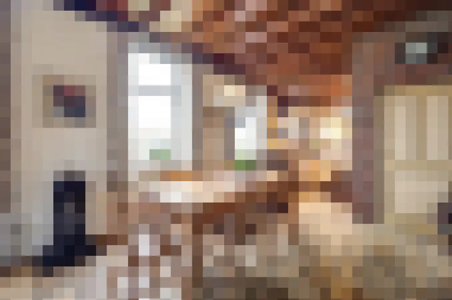 Veluwsedijk 20 Emst thumbnail 13